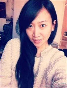 杨门女将之四郎探母