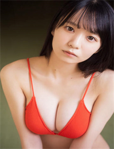 惊天大贼王 粤语版