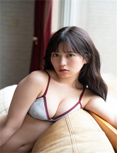 施公奇案第一部国语