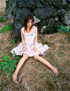 苏东坡
