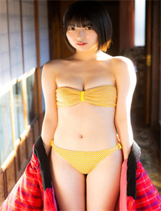 万历首辅张居正电视剧