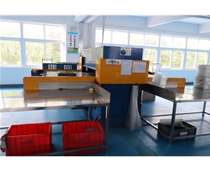 吸塑(sù)包裝生産車間